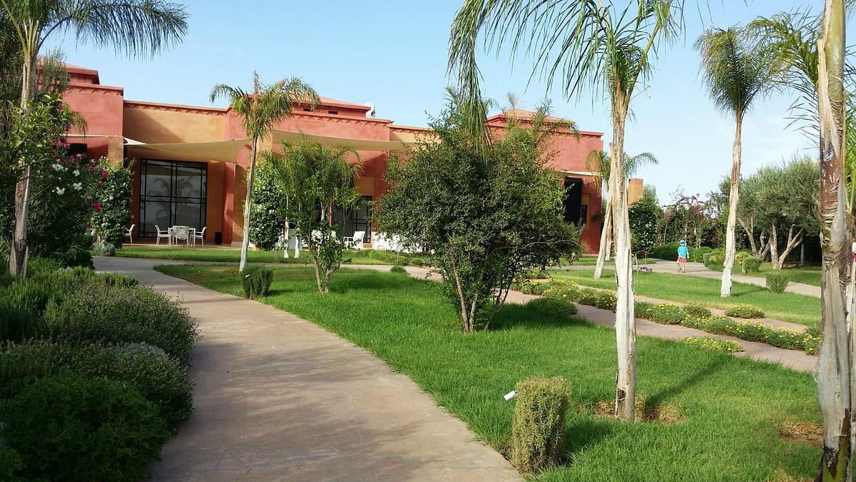 Jardin tropical luxuriant